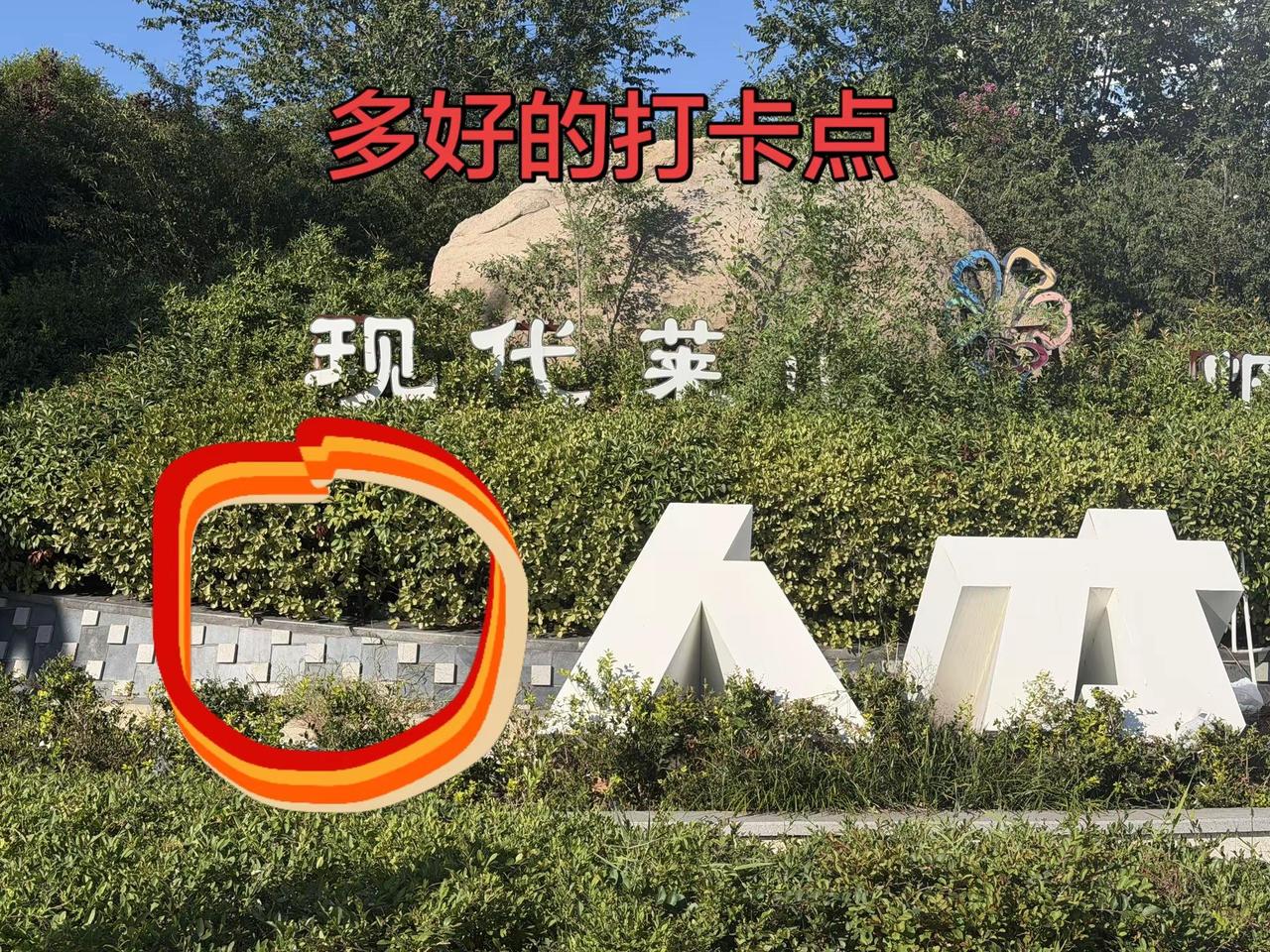 你是不是现代莱山人才，如果是请到这里留下证据。如果暂时不是也可以拍一张，激励你成