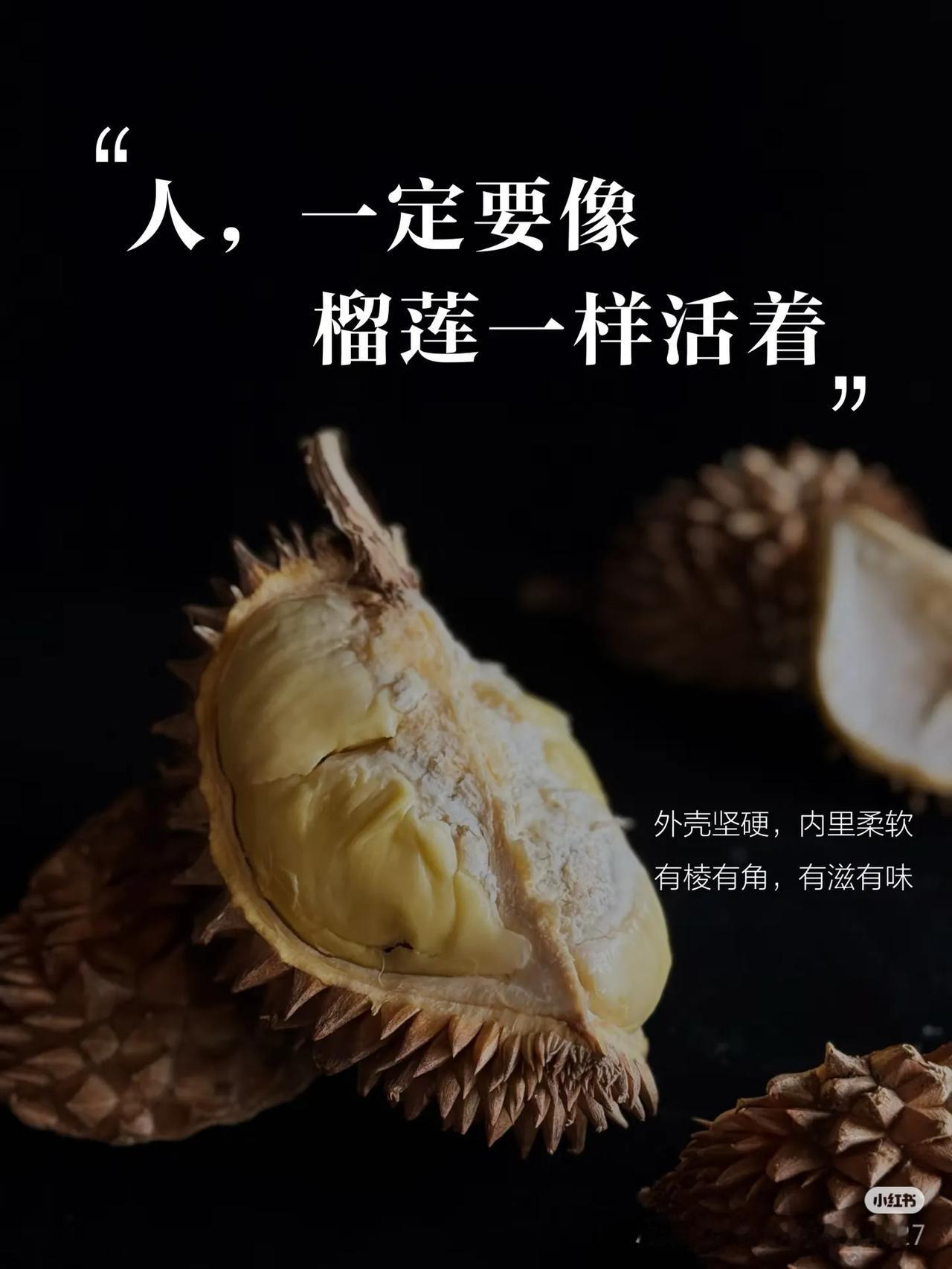 生活疗愈心情

  不知道你们有没有过这样的时刻，被生活的琐碎和压力纠缠，满心都