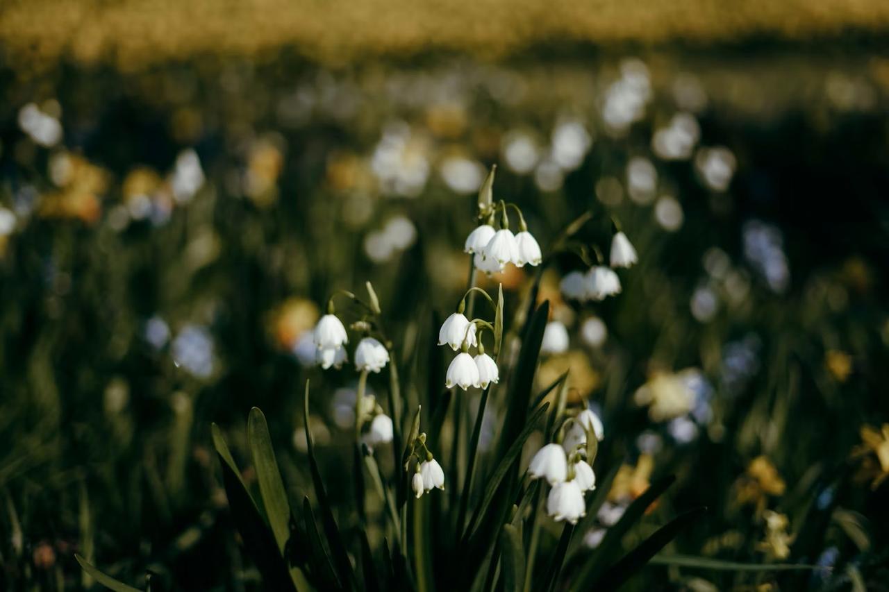 恋爱最大的冒险是舍得把主体性交出去。

当你爱上一个人，就会把注意力集中到对方身
