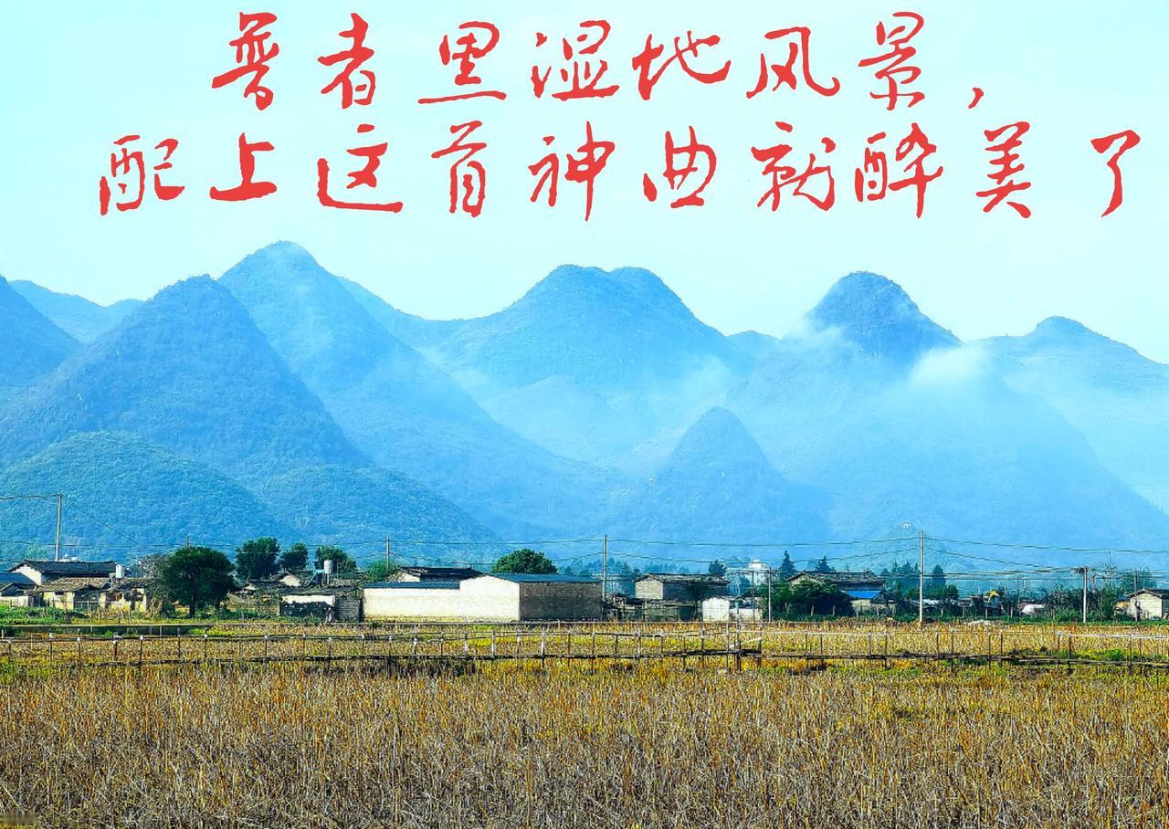 一年有四季，四季不同景，普者黑西荒湿地的秋季，照样风景如画。
原创摄影 手机摄影