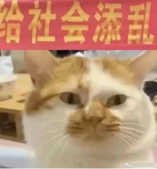 只有本地人才懂的浙江省饭 外地朋友很难理解浙江人对泡饭的执念，简单朴素，却藏着最