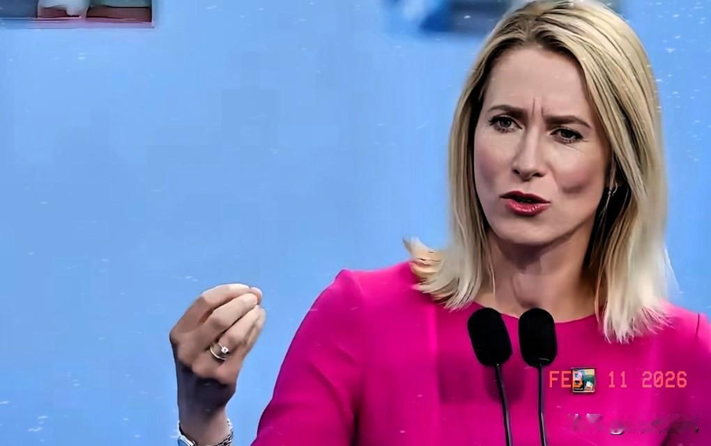 2月9日，欧盟外交高级代表卡拉斯接受采访，就俄乌局势与和平谈判阐明立场。她认为，