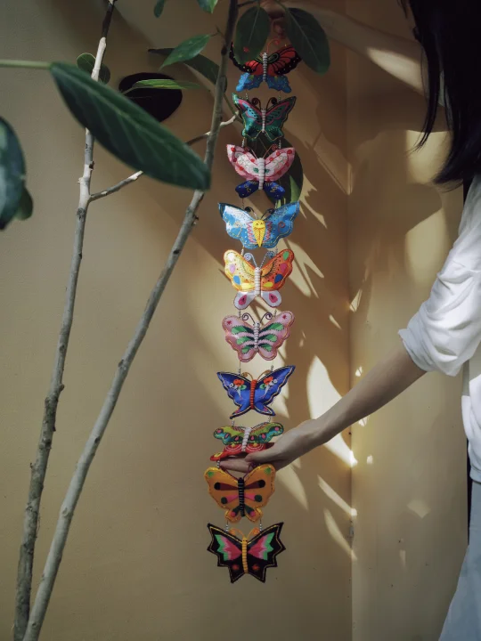 蝴蝶飞出了大山，审美也是🦋（第四批现货）