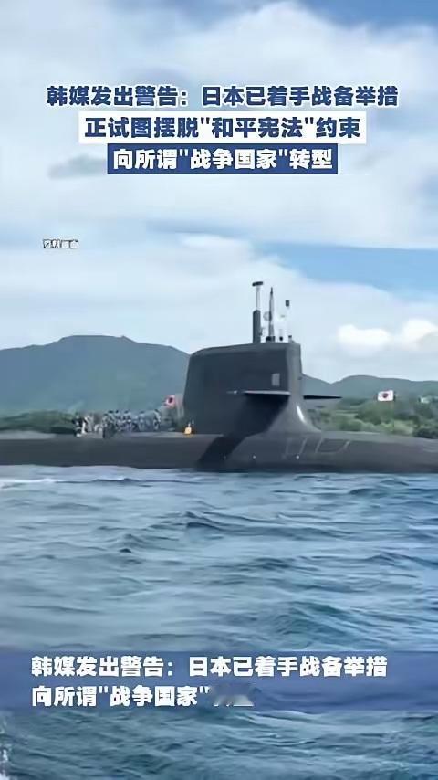 隔壁韩国刚抖出来的一个大瓜，看得我后背直发凉。

日本在偷偷囤积打仗用的医疗物资