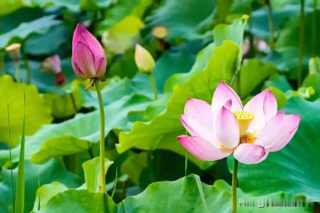 当你老了，你就会明白。在这个世界上，最亲的人只有这四个人。

第一，父母。父母是