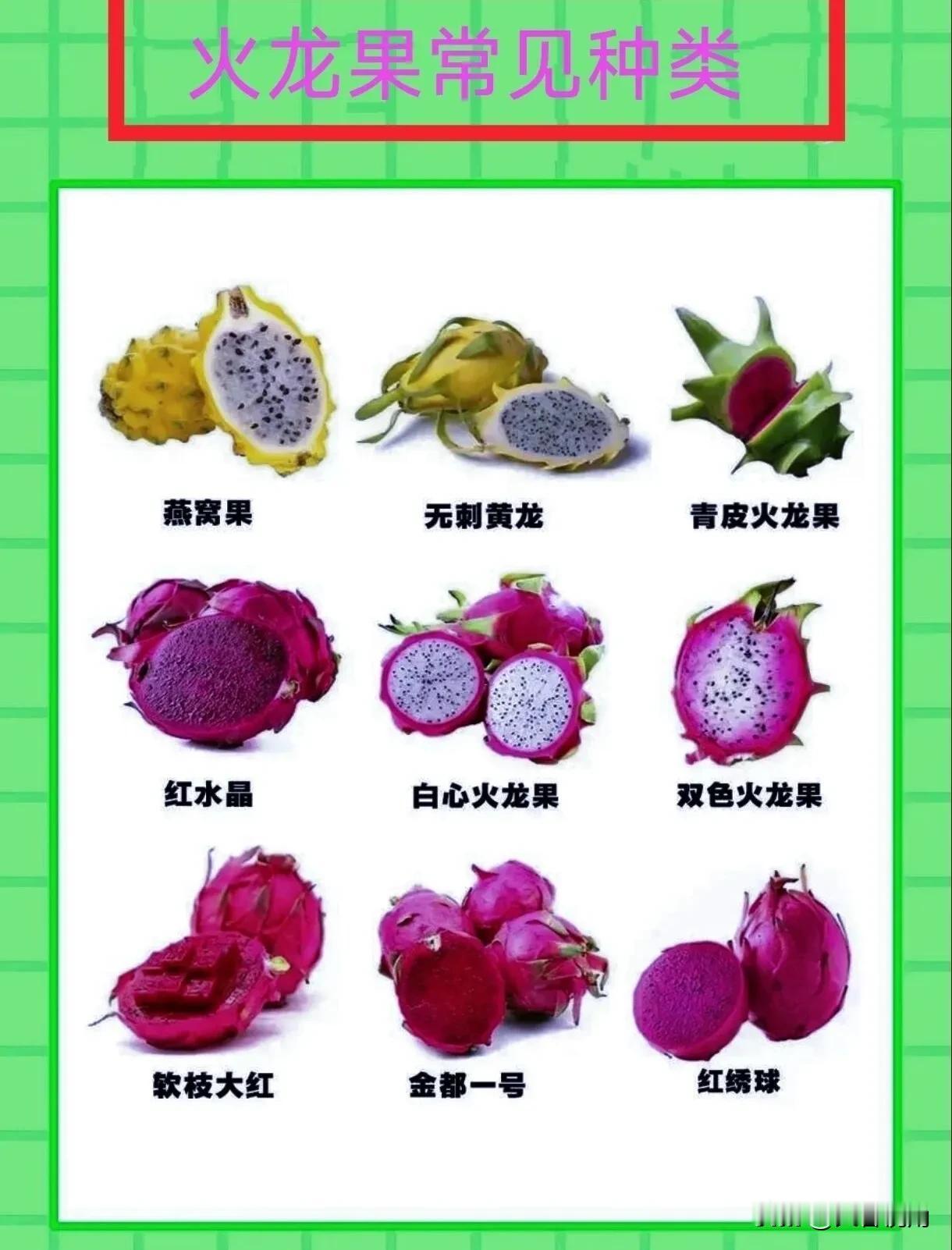 火龙果常见种类主要有三种。红皮白肉火龙果很常见，它的甜度适中，口感清爽，白色果肉