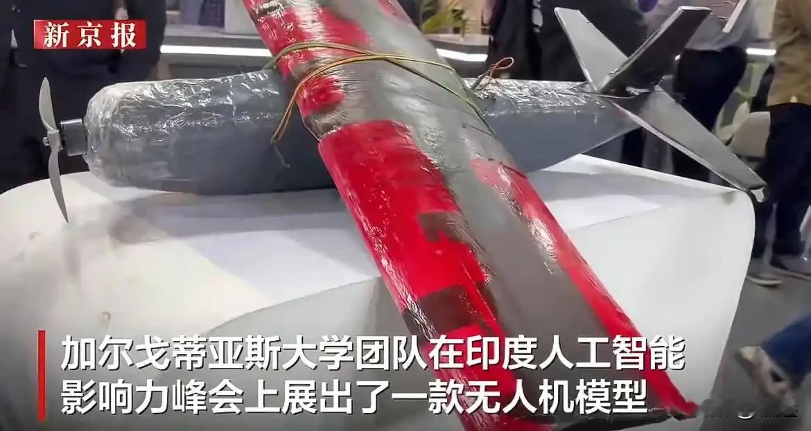 印度AI峰会展示出他们本土的大模型技术、智能医疗技术和语言应用技术并没有给我留下