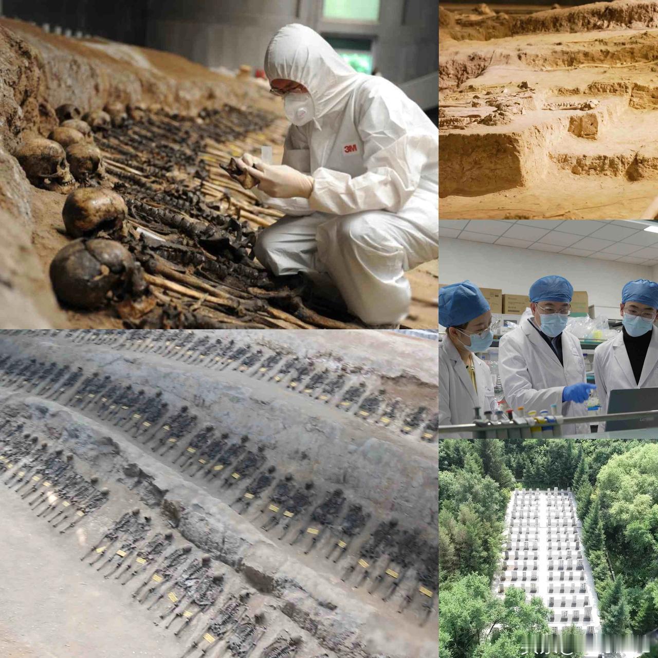 新华视，
为了不应被遗忘的生命！

一群90后博士整天钻在阴冷的墓室里，
对着一