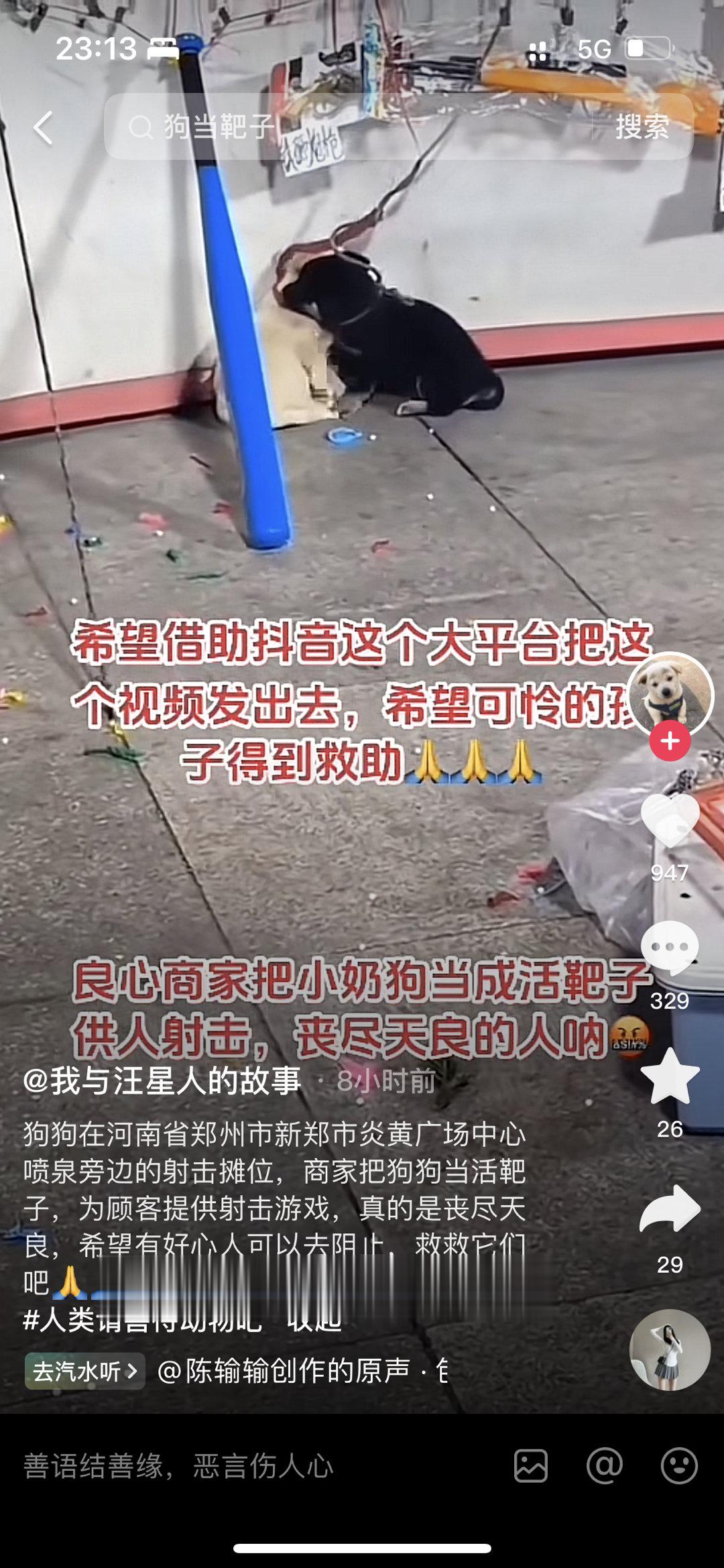 太丧心病狂了吧…把小奶狗当活靶子 ​​​