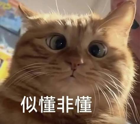睜眼各個群爬樓每個都999 