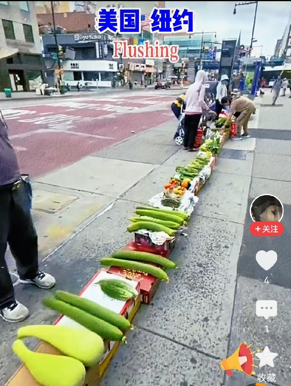 完啦，这下全世界都知道华人爱种菜了。
纽约华人摆摊的早市，真是一道靓丽的风景线！