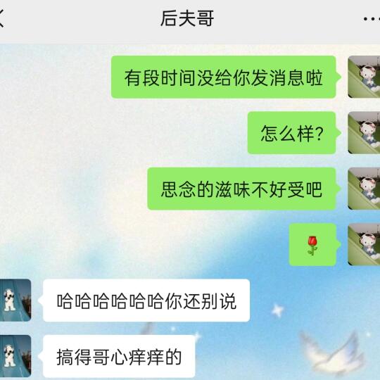 《和男朋友的聊天记录》