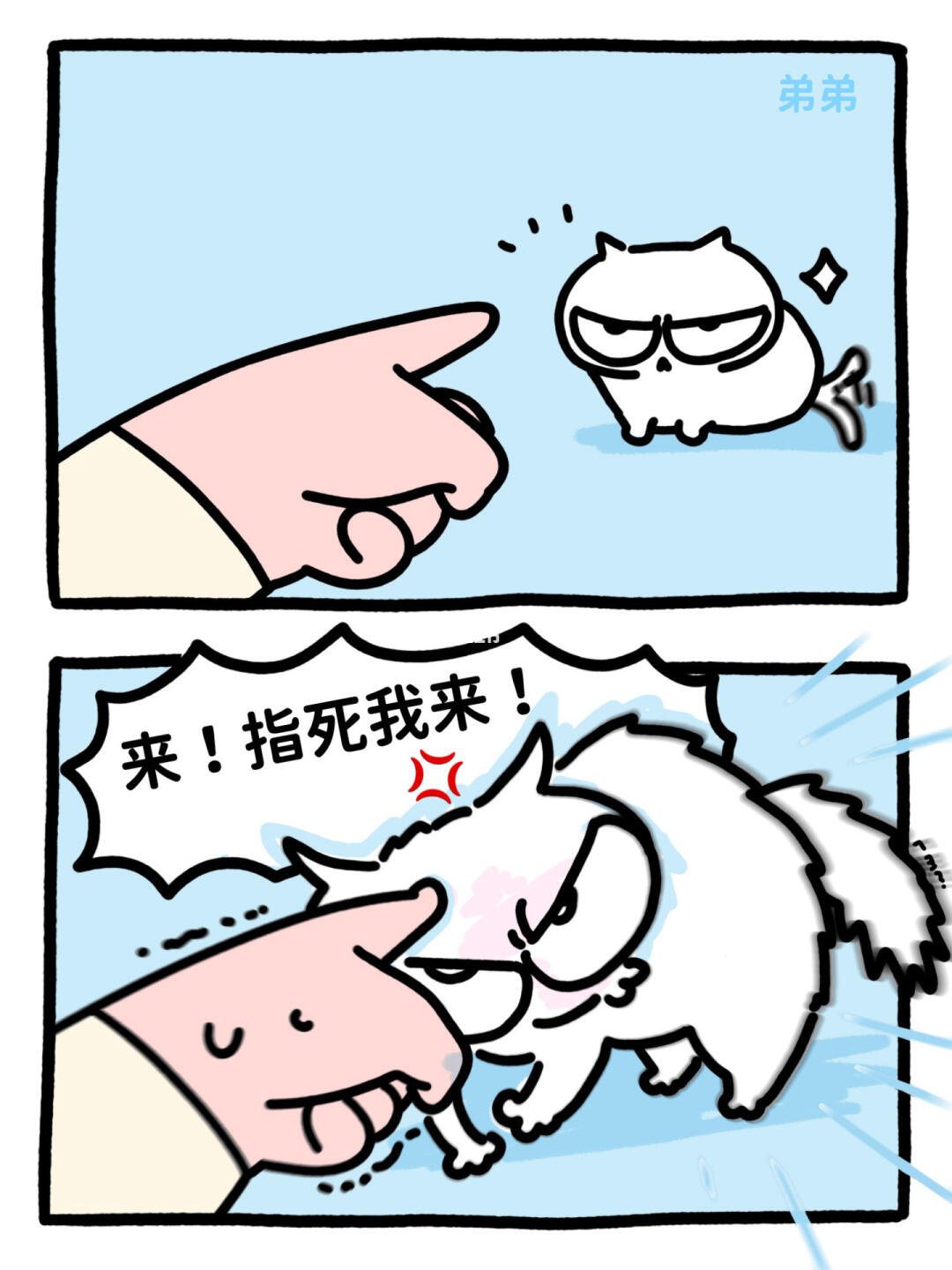 👉 🐱