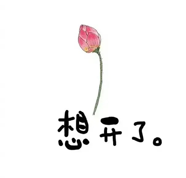 [2025]                    想开了，一切随风，     
