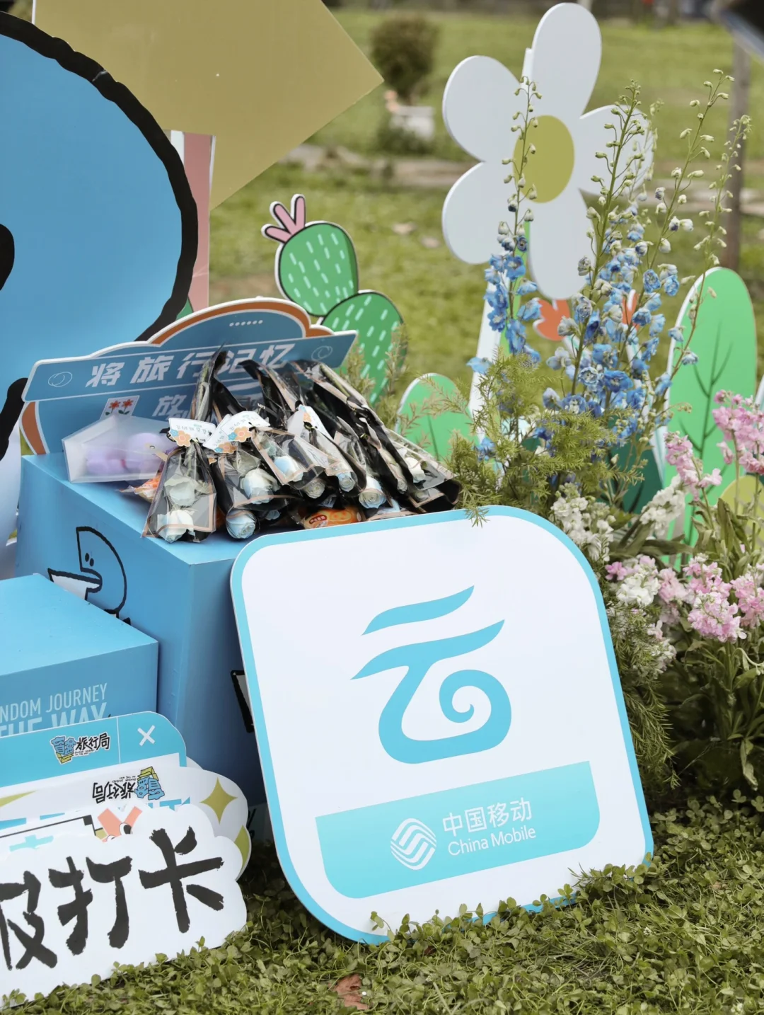 昆明滇池边又有好玩的啦！