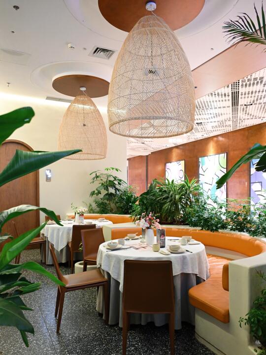 在上海，我最爱的顺德餐厅出现了