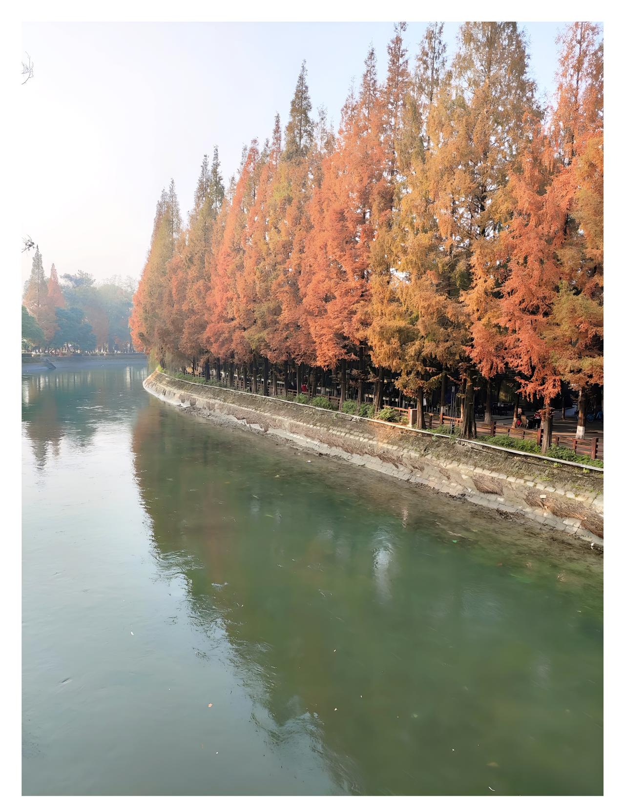 最美的秋景图片发几张