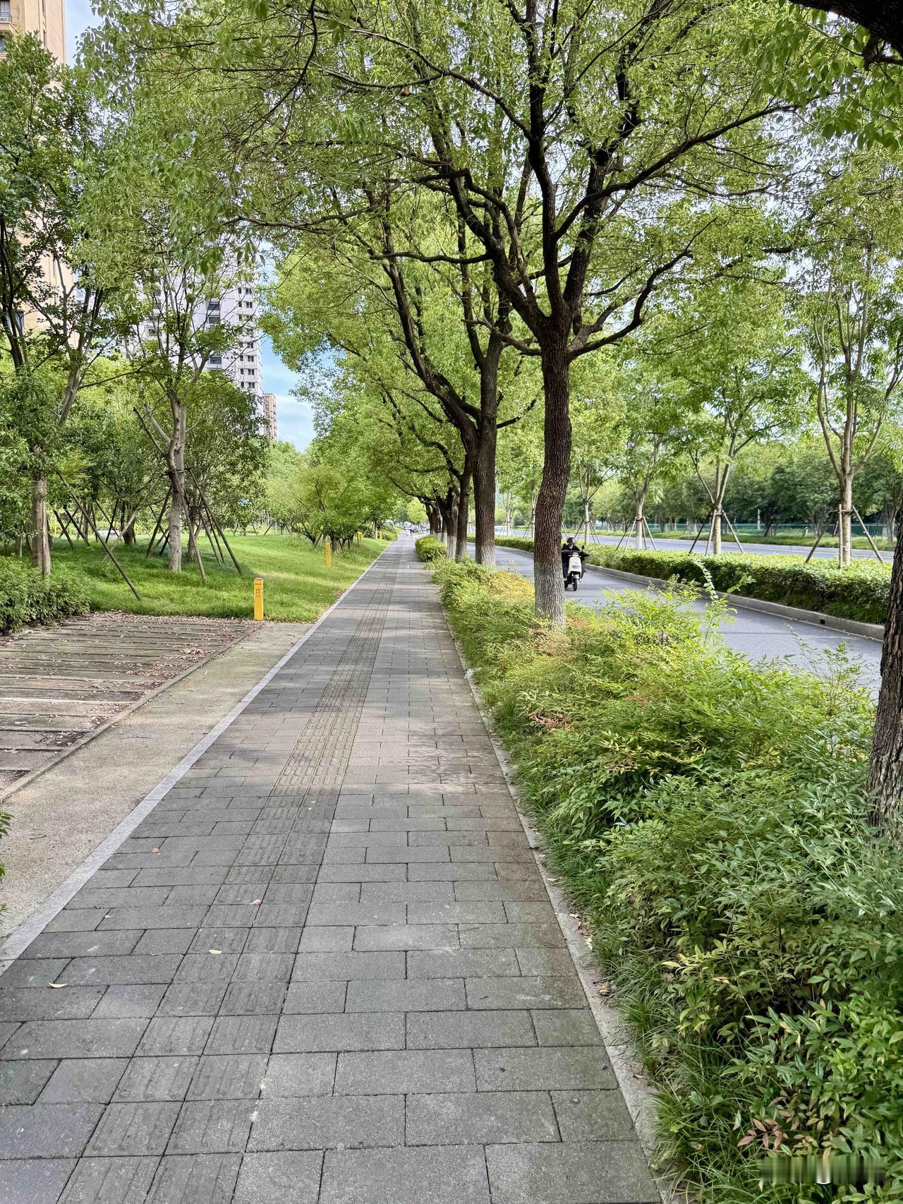 交易中的盈利是最不应该庆祝的。交易本身就抢钱的游戏，你赚的每一笔钱都是从别人口袋