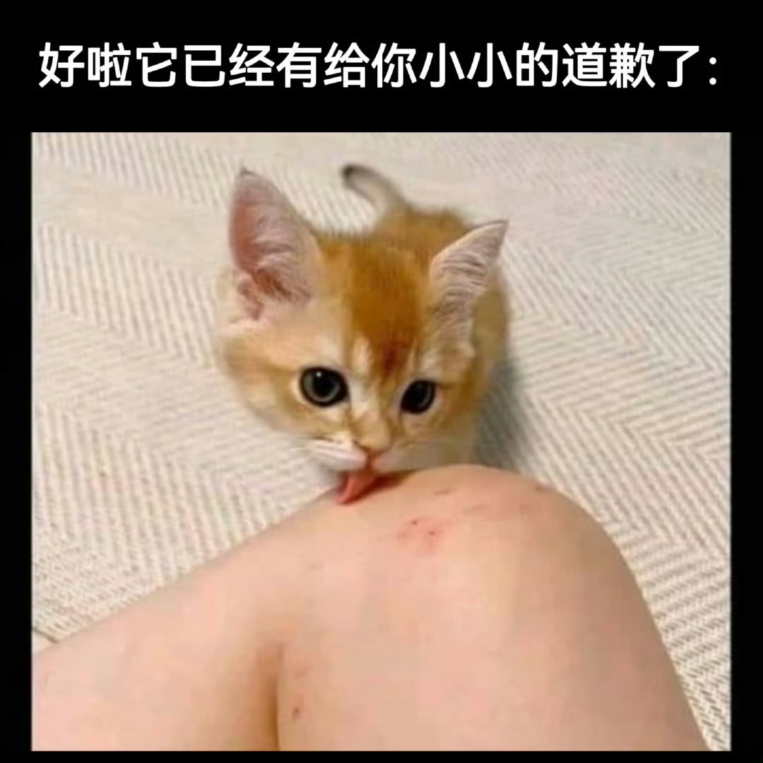 你接受吗 