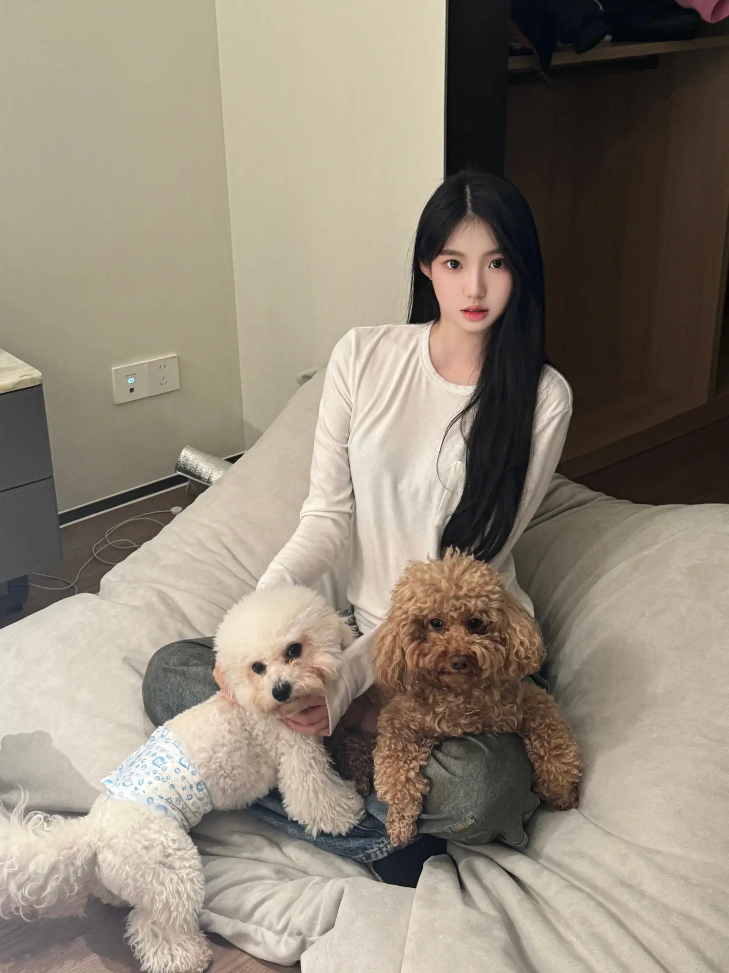 狗狗大王