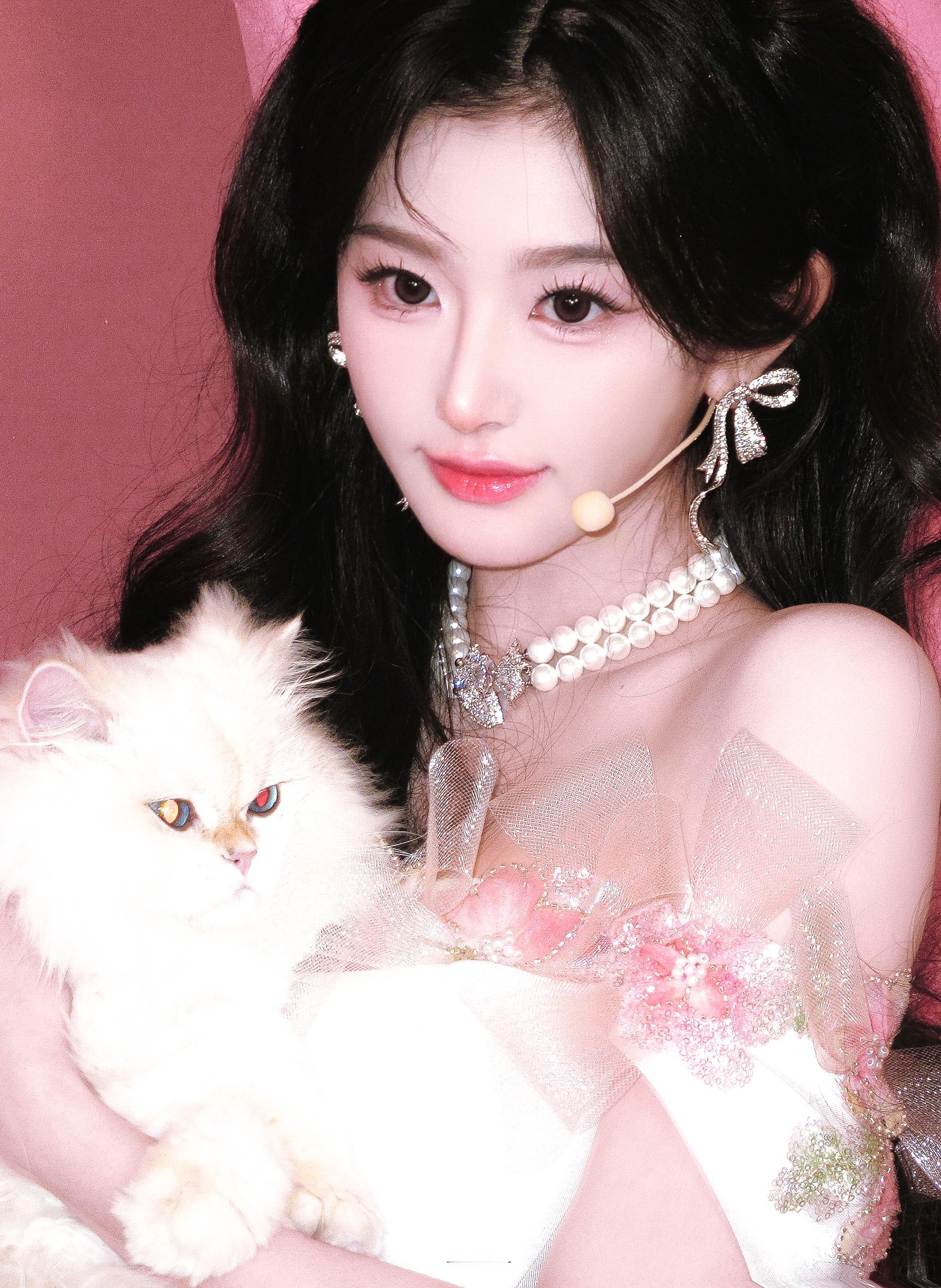 孔雪儿•波斯猫 