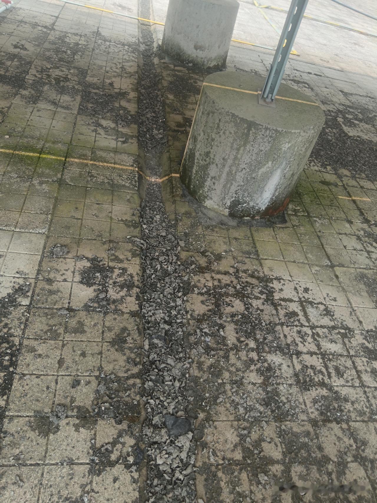 自从装了光伏板，不仅仅板上面的灰尘得勤清理，板下面的青苔也得勤清理，要不然下水管