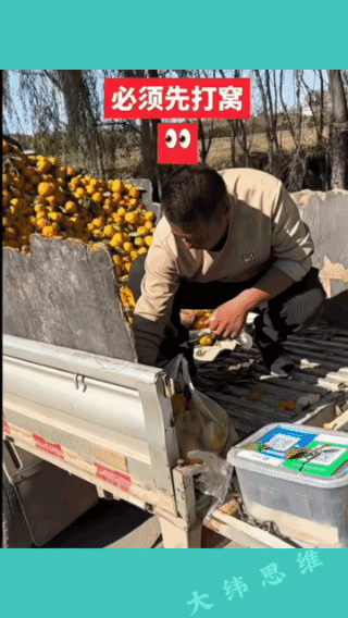 卖个橘子都要打窝，
现在干什么都要打窝吗？
找对象需要打窝吗？