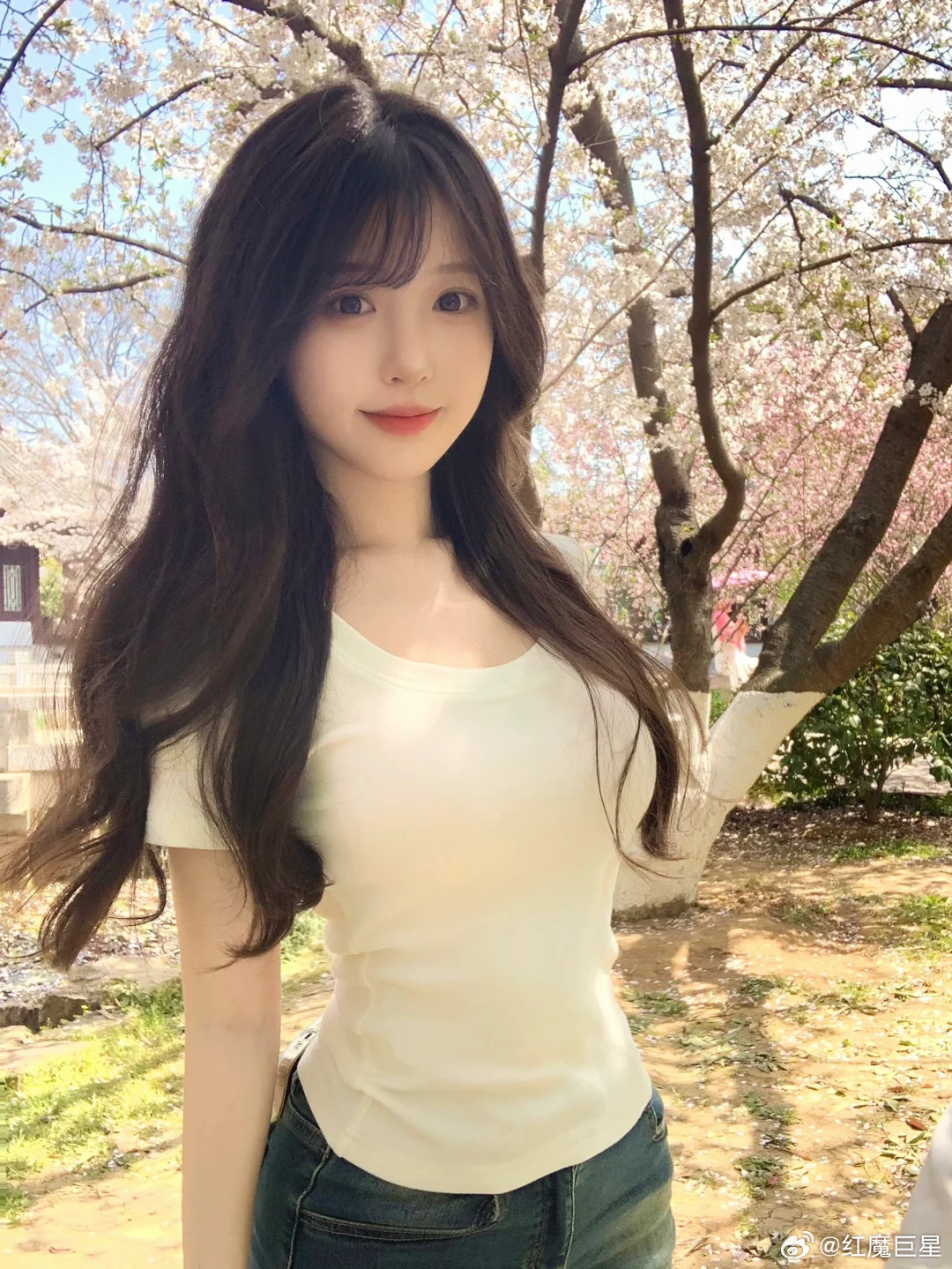 超级杯夺冠士气正盛，阿尔克马尔坐镇主场静候完胜海牙⚽️芬兰超：00:00⚽️场次