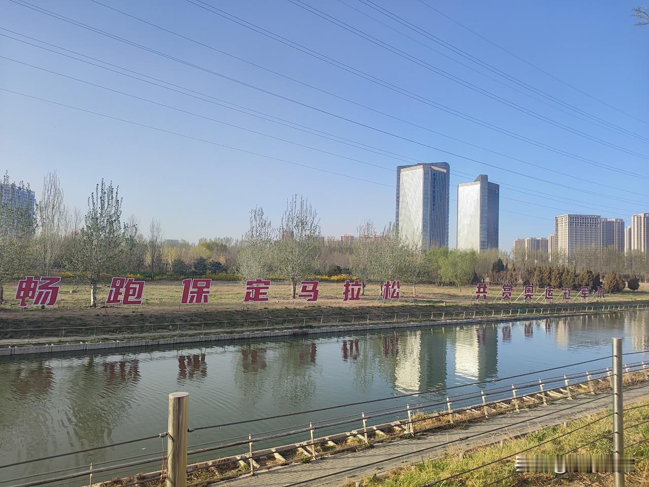 速度+效率！2026君乐宝保定马拉松赛道焕新上线。
赛道两侧枯草、枯枝完全清理完