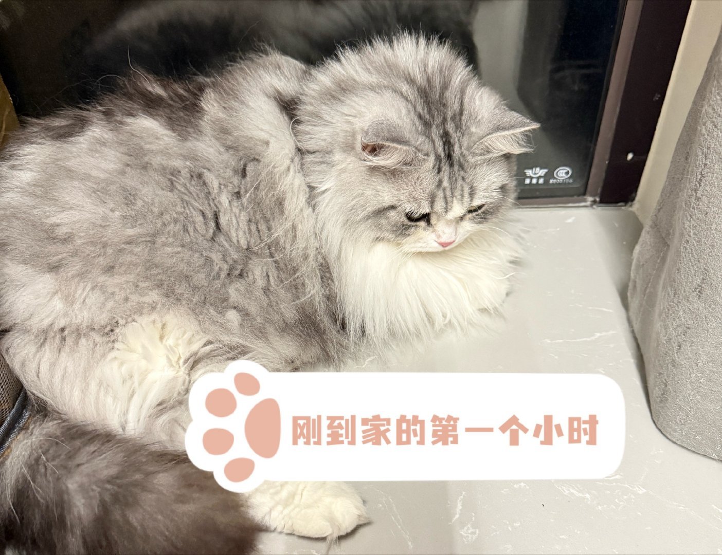 哇靠真的是一辆卡车 