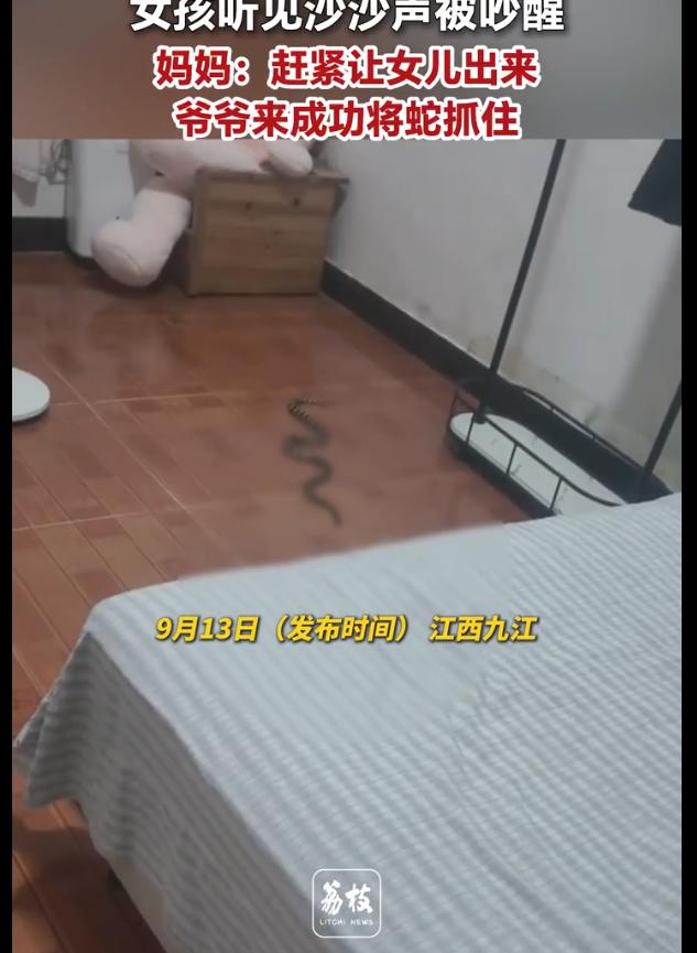 江西九江，11岁女孩独自熟睡时被一阵“沙沙”声吵醒，母亲闻声赶来，发现一条剧毒银