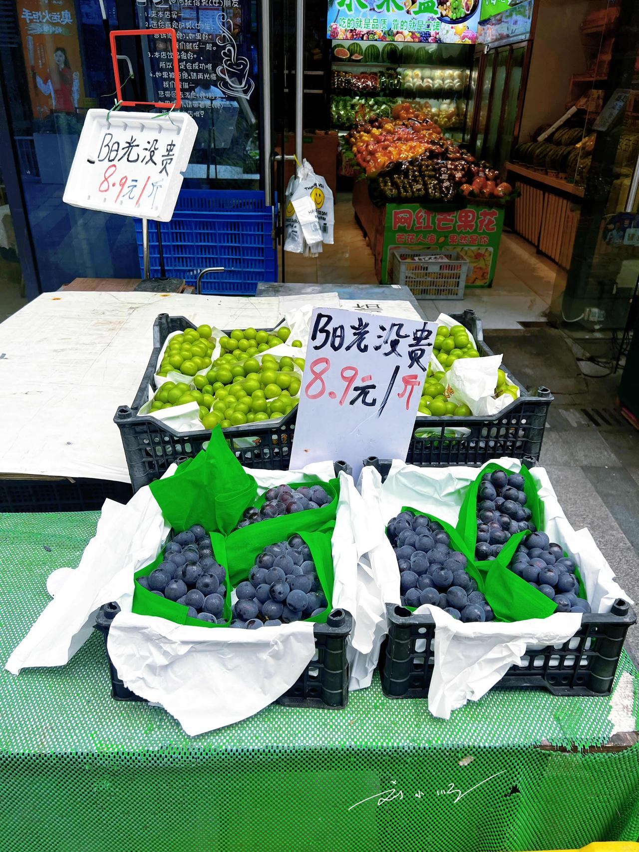 “阳光玫瑰”变成“阳光没贵”，属于劳动人民的幽默智慧。。[捂脸][捂脸]