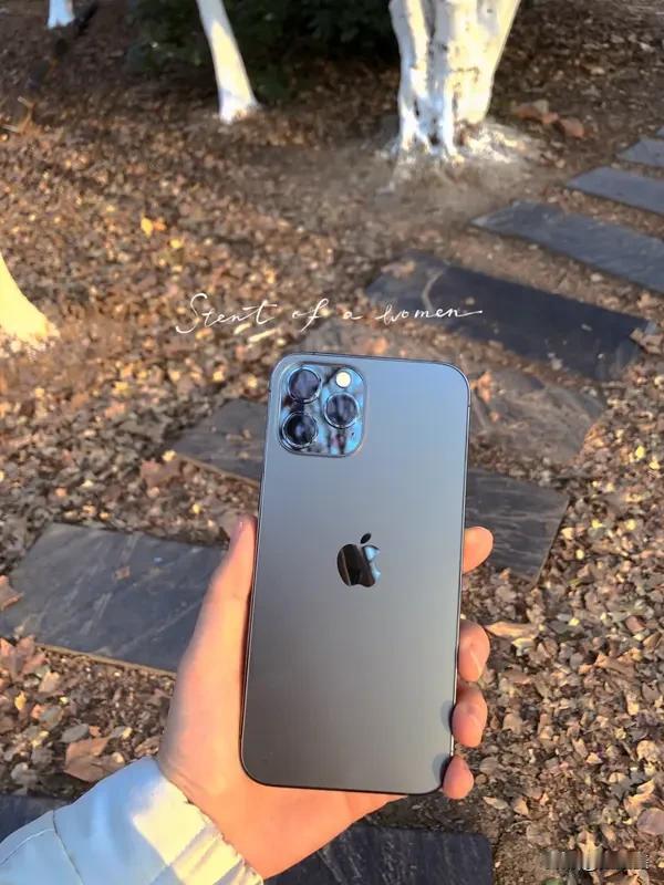 苹果折叠屏炸场：2万天价能卖爆吗？

2026年秋，苹果首款折叠屏iPhone 