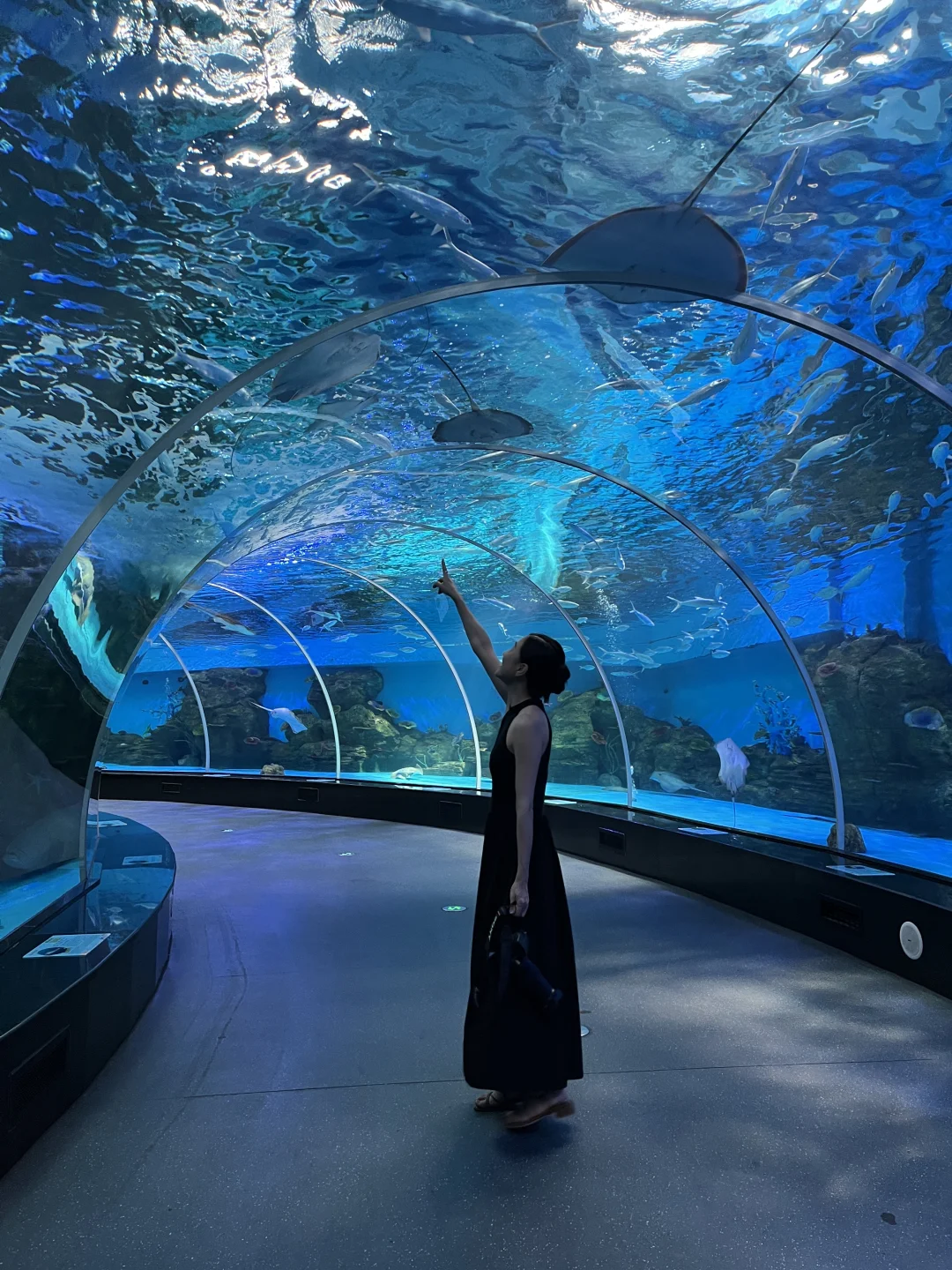 泉州不止西街，还有浪漫的海边乐园！！