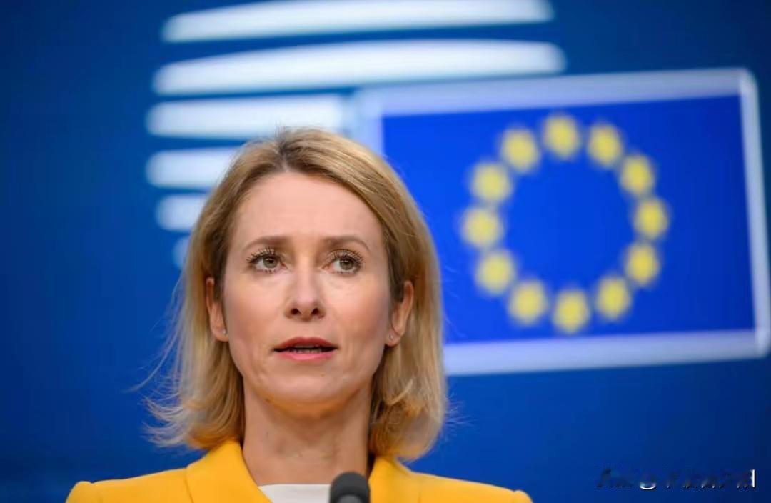 欧盟外长卡拉斯最新表态：正试图拉拢海湾国家加入对俄制裁。理由是“伊朗无人机打海湾