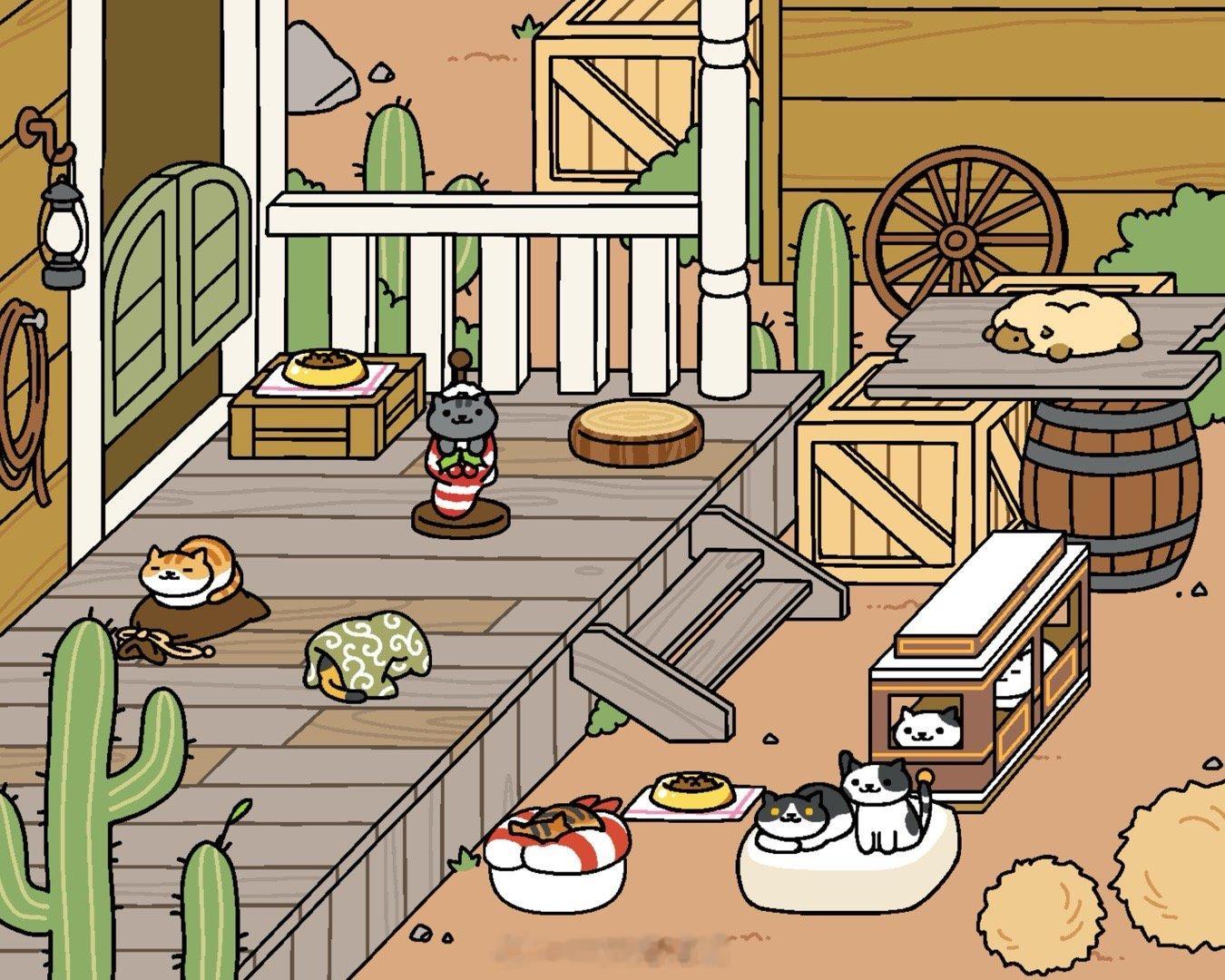 [许愿星]看一眼我的云养猫 