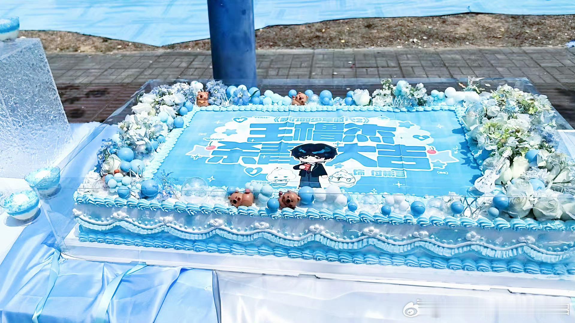 投陈思罕 王橹杰 张函瑞 陈奕恒 左奇函 陈浚铭 杀青蛋糕，怎么样！ 