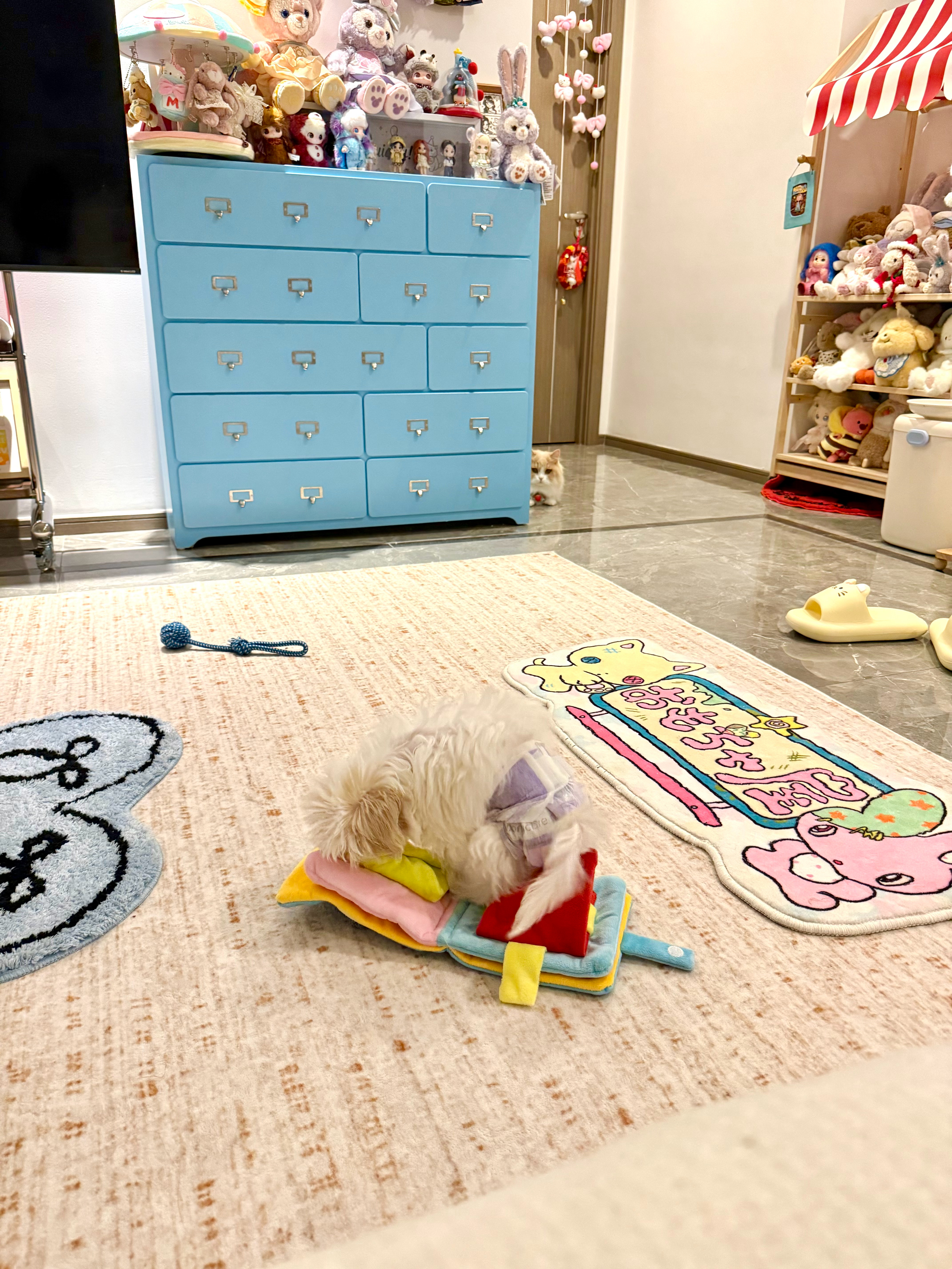 三步之外必有解药（求求就这样偷窥佑佑）家里面有了灵珠之后就是会迎了一个魔丸知道吧