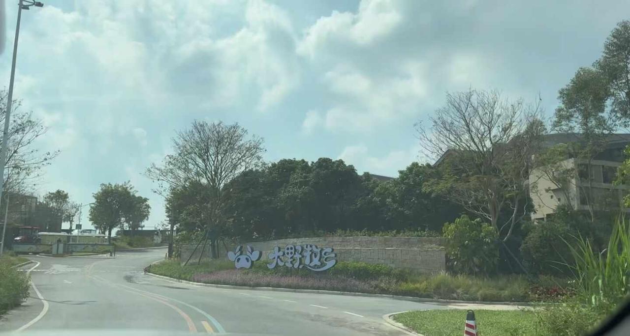 去从化放个风～
天气甚好☁️
最适合同阳光玩游戏
干干净净的牛牛都乖乖排队去上班