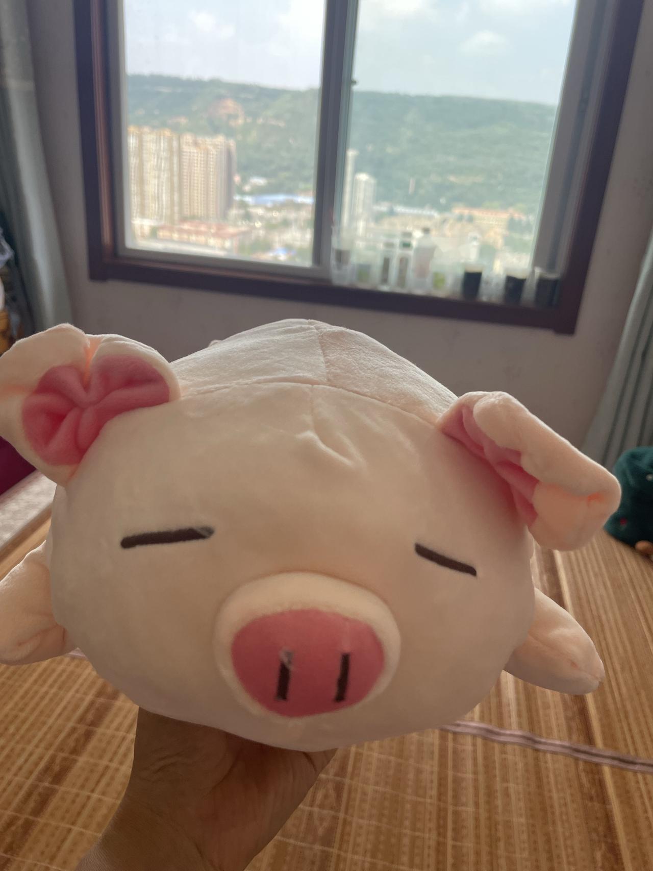 晒图笔记大赛孩子在网上买的小猪到了，好可爱啊，超级喜欢，我想花钱买来，不知道她同