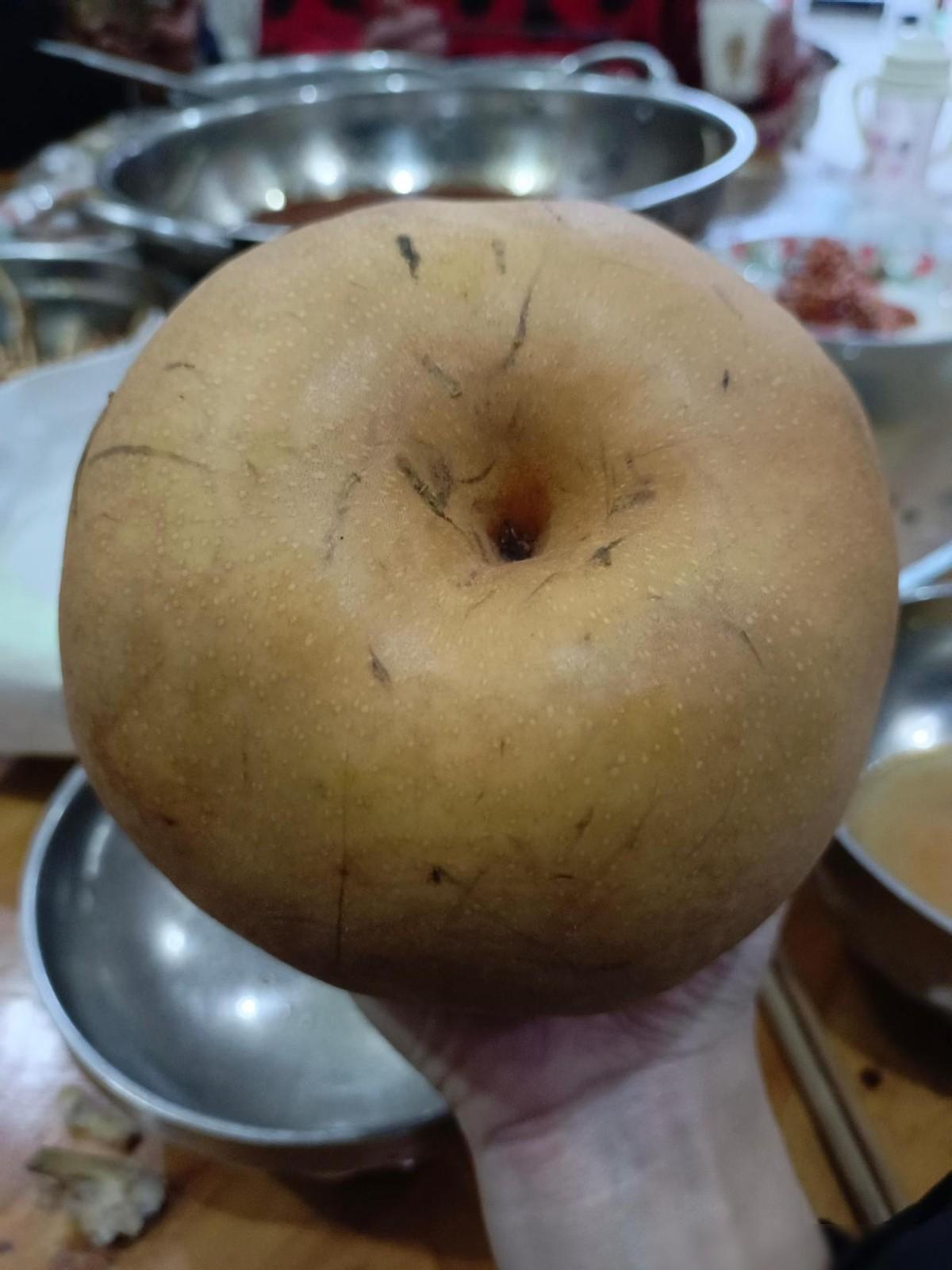 我今天用了二十块钱买了个梨，这梨一看就像是来报恩的！