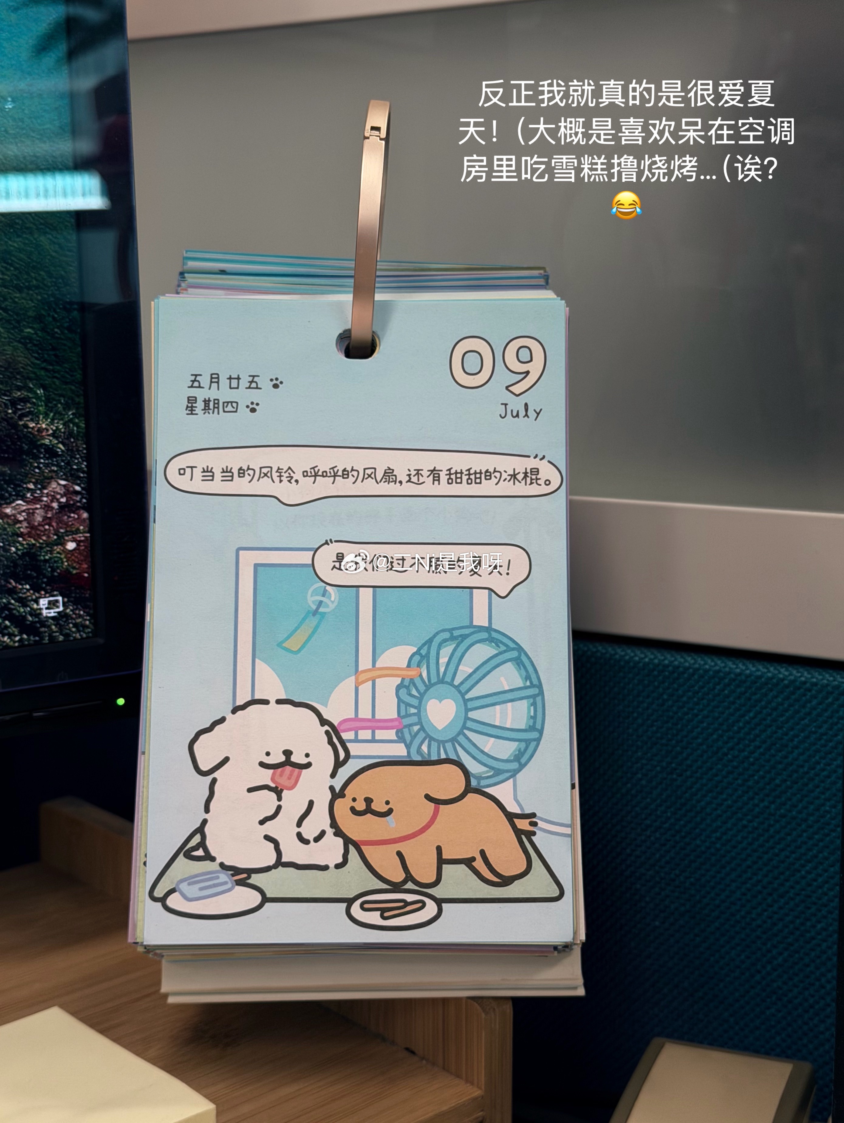 Ni’s Life 2026. 123.🧩日常碎片🧩 常更常新流水账📝最近