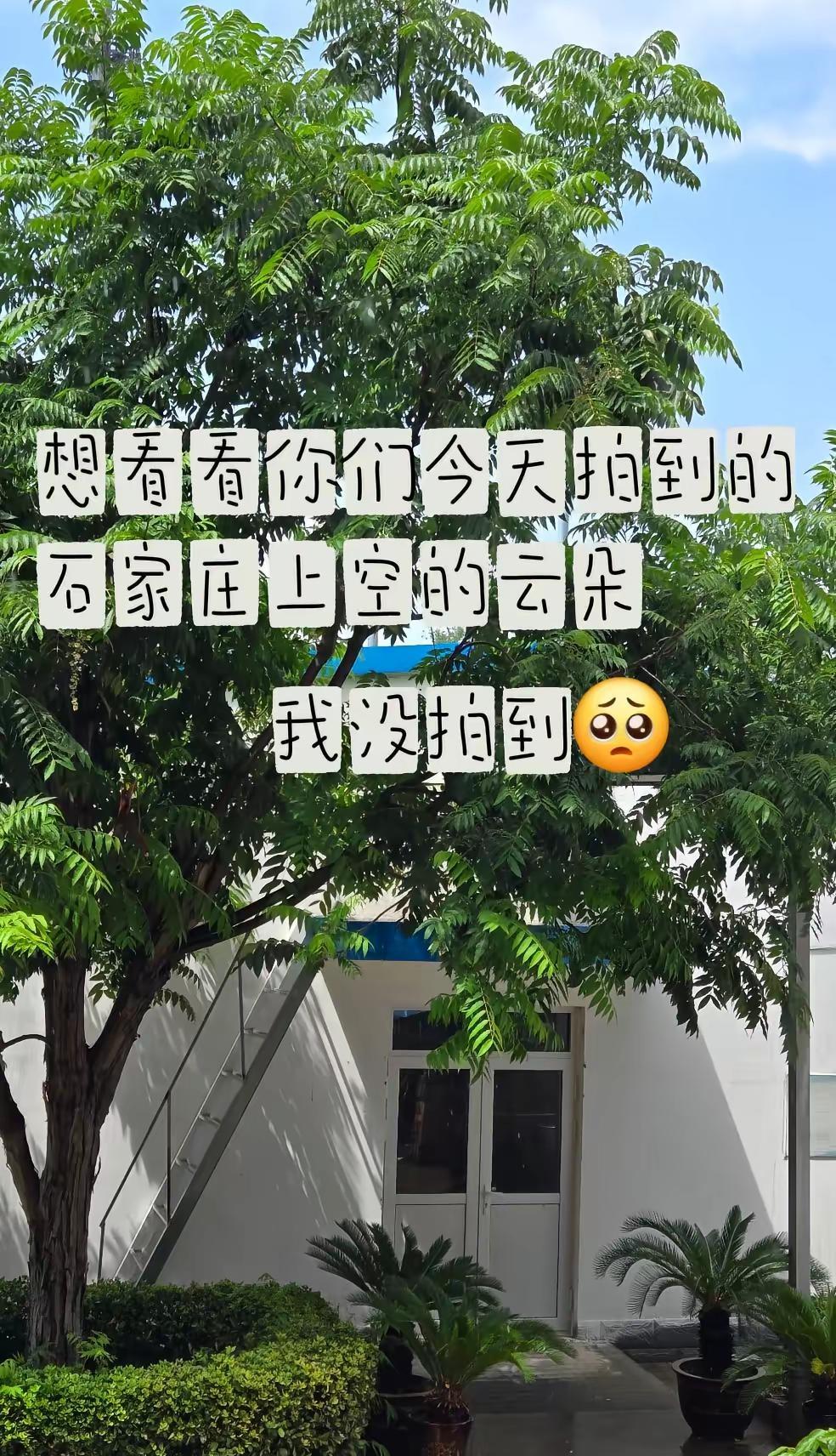 石家庄今天中午雷阵雨⛈过后的大云朵，是谁拍到了？？？可否分享一下👀雷阵雨天气 