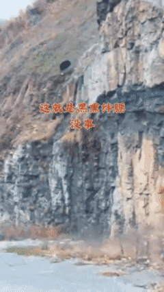 这货是真抗摔啊！[泣不成声]