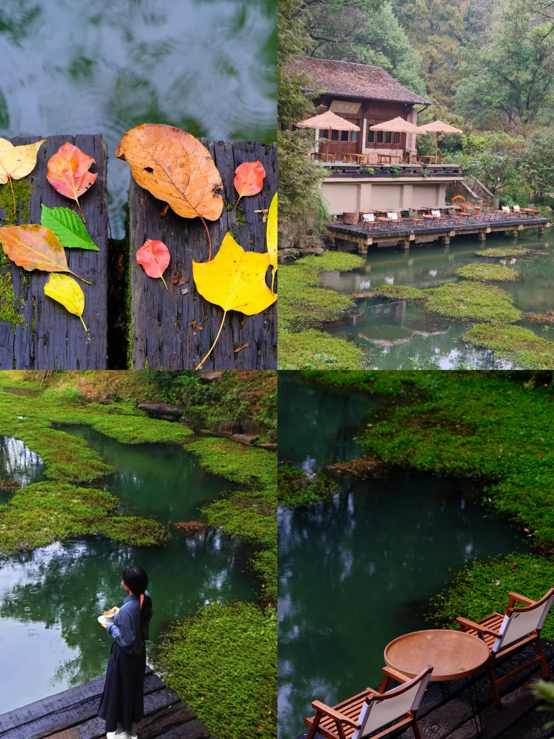 杭州咖啡馆太超前啦 植物园新开小清迈咖啡