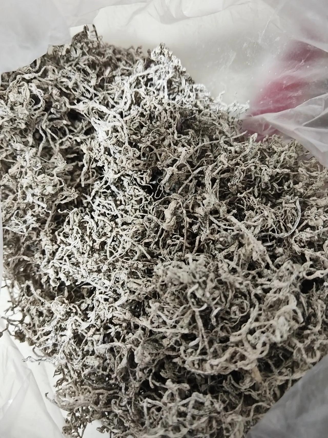昨天朋友过来给送了些莓茶和灵芝片。第一次看到莓茶还以为是晒干的艾蒿呢。
说实话家