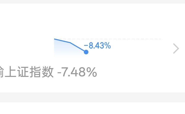 炒股一年，凭实力亏了好多钱