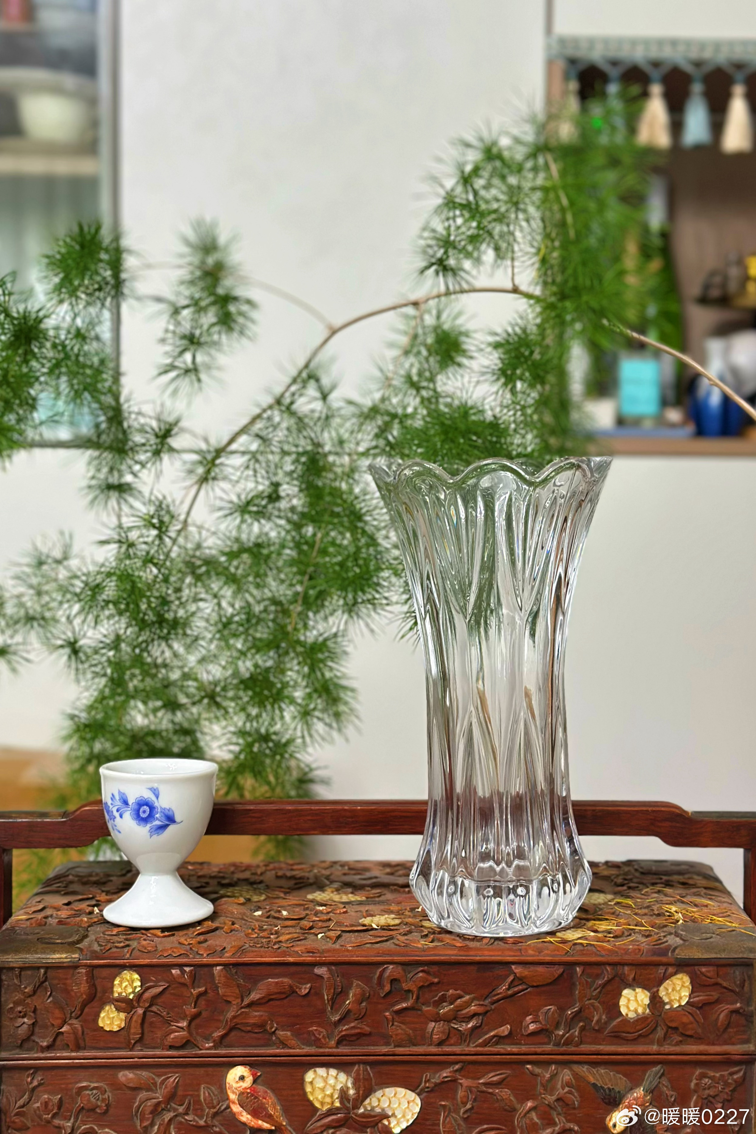 我上一篇说要记叙一下猫的真实事迹。怎么说呢？就是在鸡蛋小饼开吃之前，我在打咖啡，