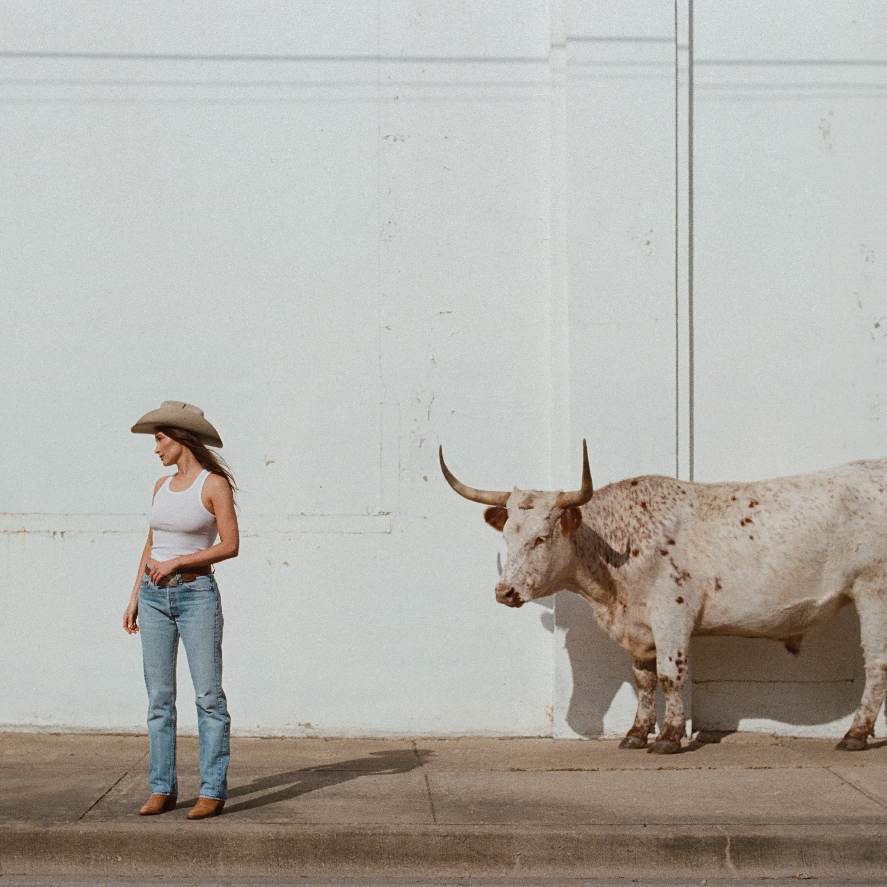 【首周快报】Kacey Musgraves 第六张录音室专辑『Middle of