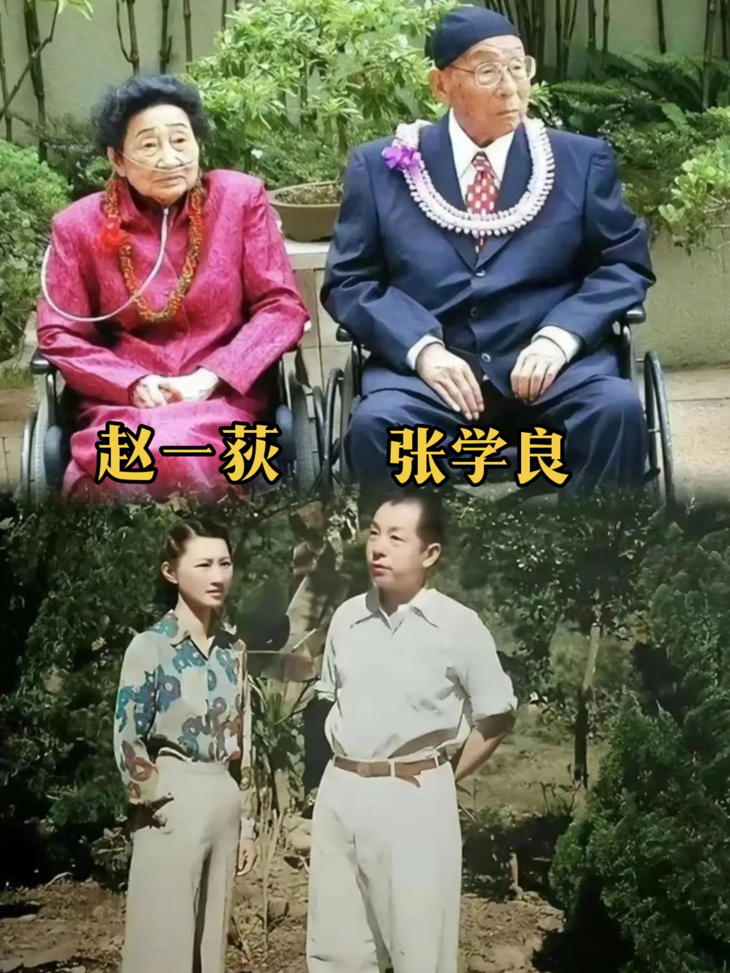 人人都说张学良一生最爱的人是赵一荻，可在他获得自由以后第一件事是去美国...